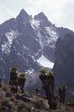 WT 221-25 Kenya Diamond Glacier